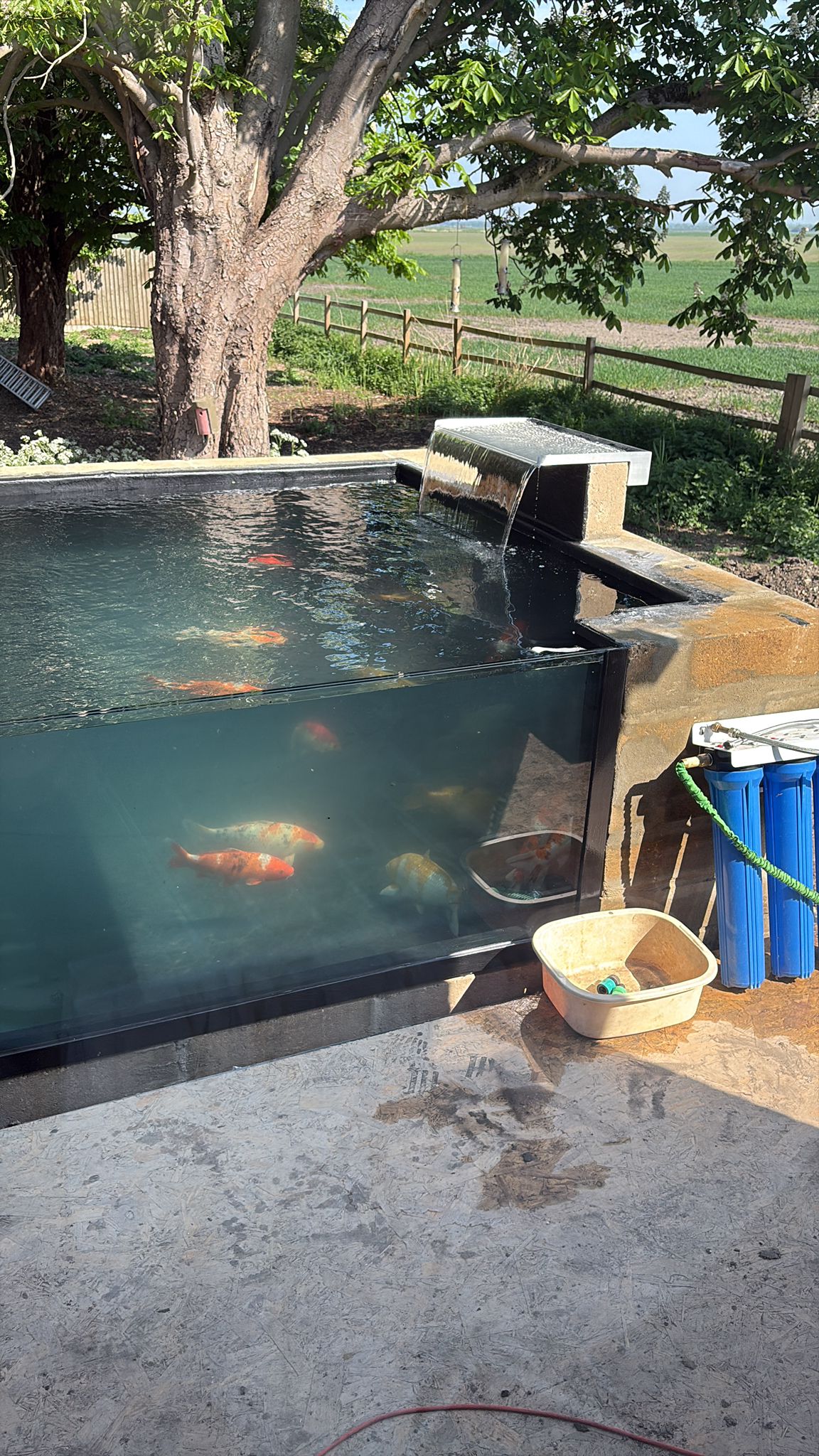 Raised Brick Pond